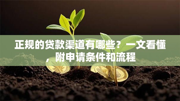 正规的贷款渠道有哪些？一文看懂，附申请条件和流程