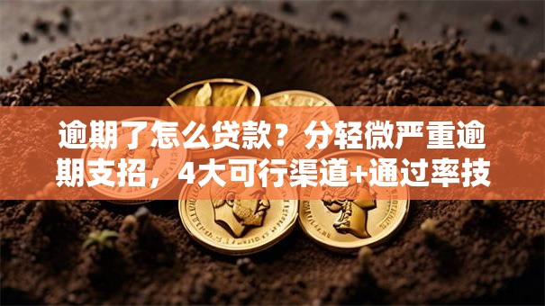 逾期了怎么贷款？分轻微严重逾期支招，4大可行渠道+通过率技巧