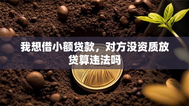 我想借小额贷款，对方没资质放贷算违法吗