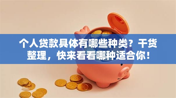 个人贷款具体有哪些种类？干货整理，快来看看哪种适合你！