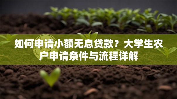 如何申请小额无息贷款？大学生农户申请条件与流程详解