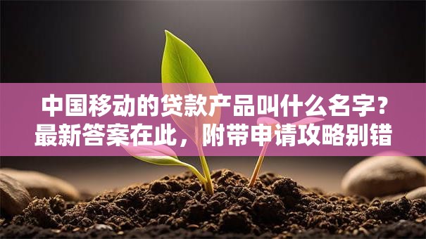 中国移动的贷款产品叫什么名字？最新答案在此，附带申请攻略别错过