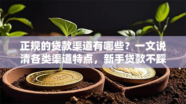 正规的贷款渠道有哪些？一文说清各类渠道特点，新手贷款不踩雷
