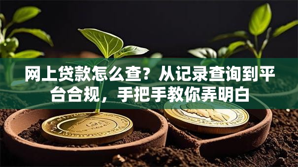 网上贷款怎么查？从记录查询到平台合规，手把手教你弄明白