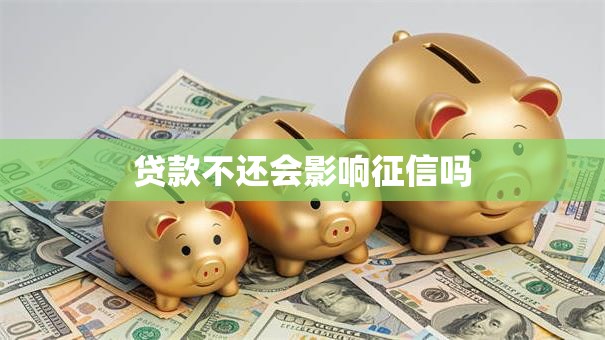 贷款不还会影响征信吗