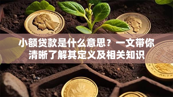 小额贷款是什么意思？一文带你清晰了解其定义及相关知识