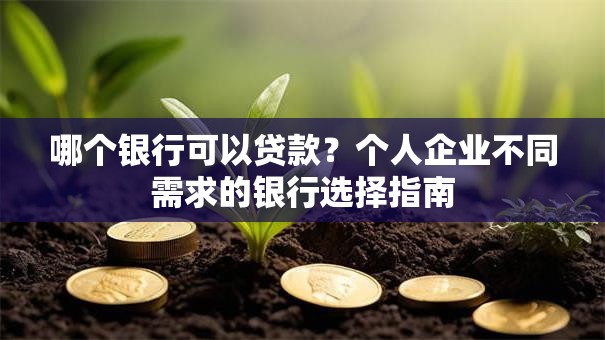 哪个银行可以贷款？个人企业不同需求的银行选择指南