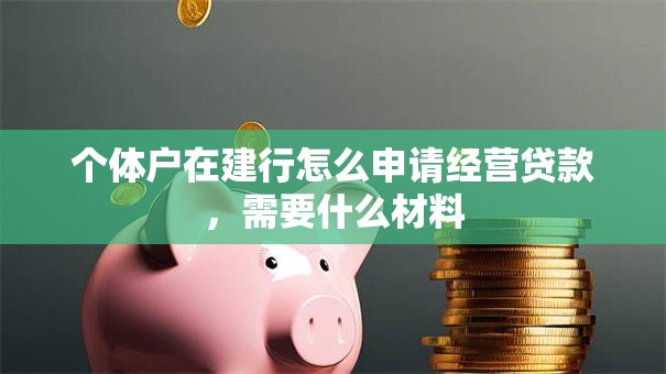 个体户在建行怎么申请经营贷款，需要什么材料