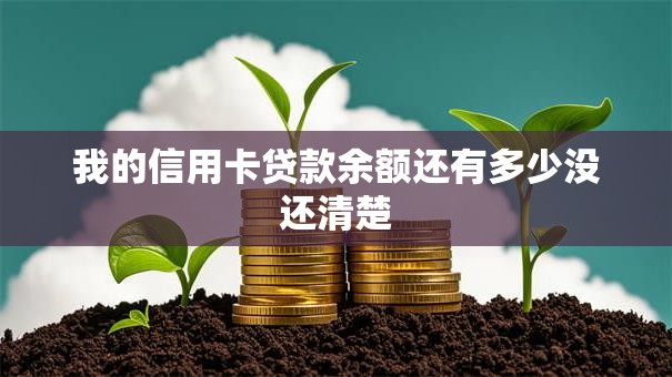 我的信用卡贷款余额还有多少没还清楚