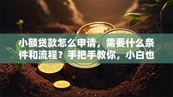 小额贷款怎么申请，需要什么条件和流程？手把手教你，小白也能轻松搞定！