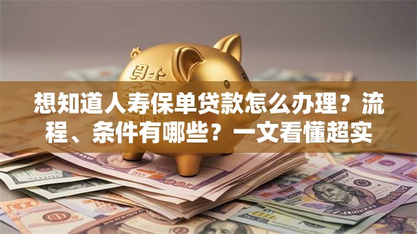 想知道人寿保单贷款怎么办理？流程、条件有哪些？一文看懂超实用！