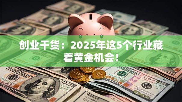创业干货：2025年这5个行业藏着黄金机会！