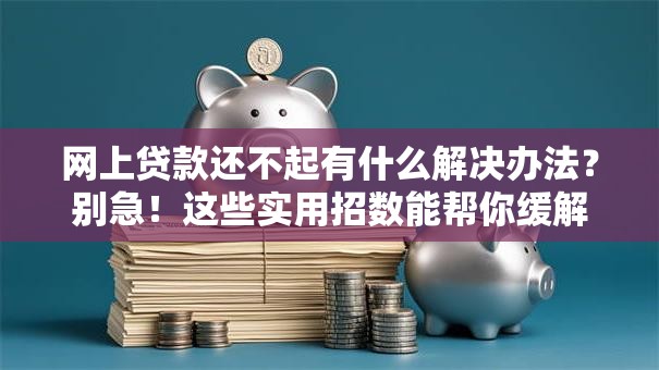 网上贷款还不起有什么解决办法？别急！这些实用招数能帮你缓解压力