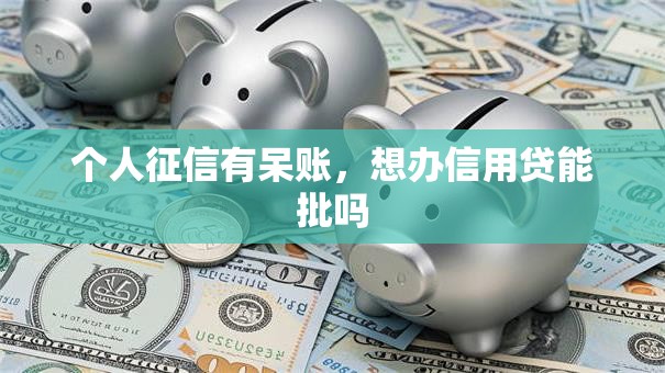 个人征信有呆账，想办信用贷能批吗