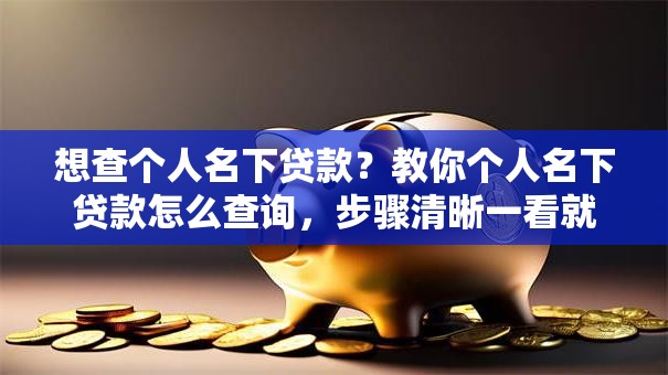 想查个人名下贷款？教你个人名下贷款怎么查询，步骤清晰一看就懂