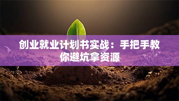 创业就业计划书实战：手把手教你避坑拿资源