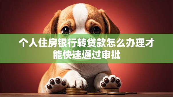 个人住房银行转贷款怎么办理才能快速通过审批