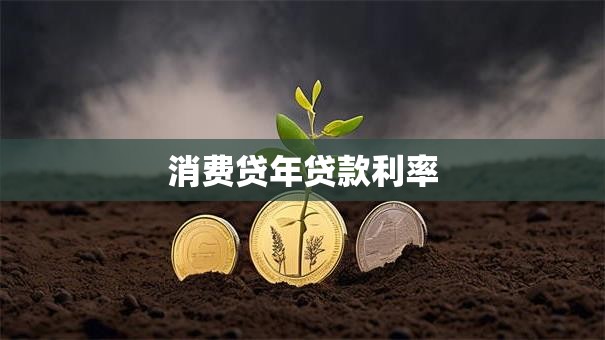 消费贷年贷款利率