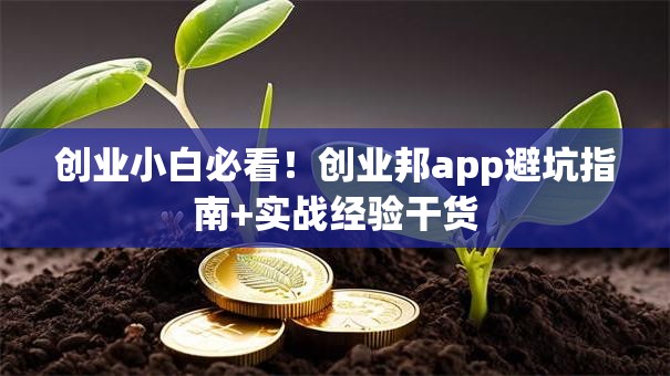 创业小白必看！创业邦app避坑指南+实战经验干货