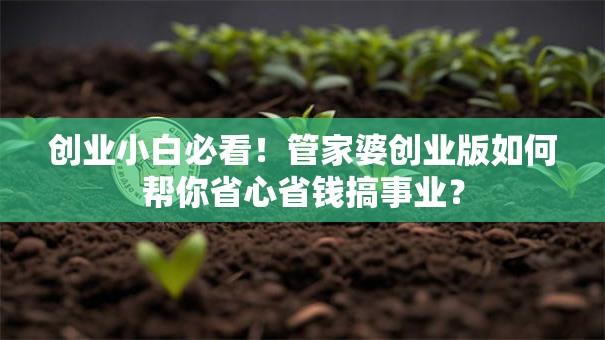创业小白必看！管家婆创业版如何帮你省心省钱搞事业？
