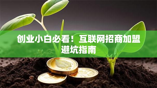 创业小白必看！互联网招商加盟避坑指南