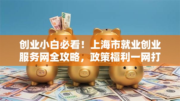 创业小白必看！上海市就业创业服务网全攻略，政策福利一网打尽