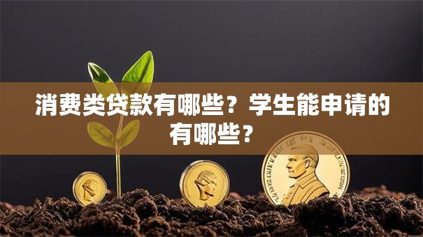 消费类贷款有哪些？学生能申请的有哪些？