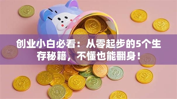 创业小白必看：从零起步的5个生存秘籍，不懂也能翻身！
