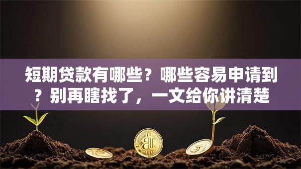 短期贷款有哪些？哪些容易申请到？别再瞎找了，一文给你讲清楚