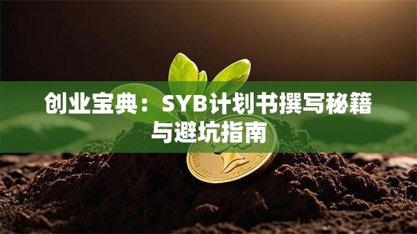 创业宝典：SYB计划书撰写秘籍与避坑指南