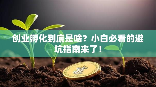 创业孵化到底是啥？小白必看的避坑指南来了！