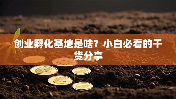 创业孵化基地是啥？小白必看的干货分享