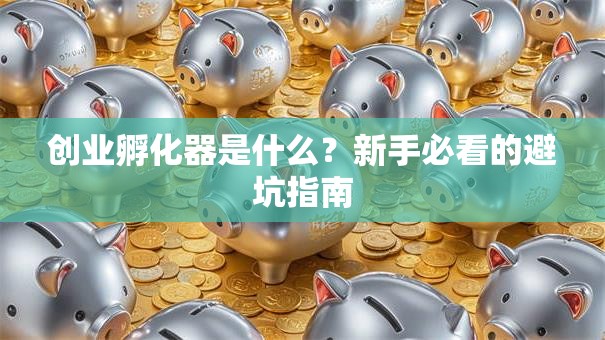 创业孵化器是什么？新手必看的避坑指南