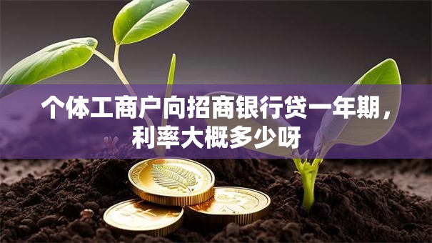 个体工商户向招商银行贷一年期，利率大概多少呀