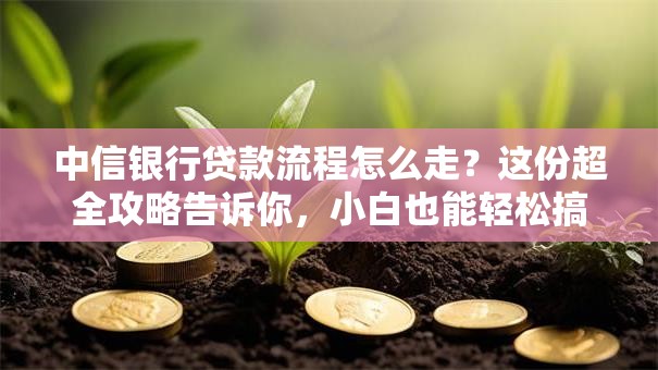 中信银行贷款流程怎么走？这份超全攻略告诉你，小白也能轻松搞定