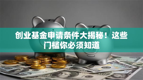 创业基金申请条件大揭秘！这些门槛你必须知道