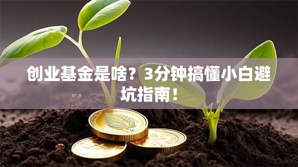 创业基金是啥？3分钟搞懂小白避坑指南！