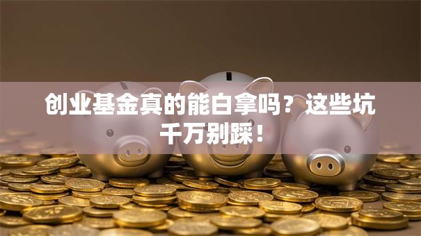 创业基金真的能白拿吗？这些坑千万别踩！