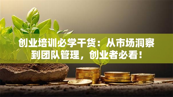 创业培训必学干货：从市场洞察到团队管理，创业者必看！
