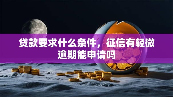 贷款要求什么条件，征信有轻微逾期能申请吗