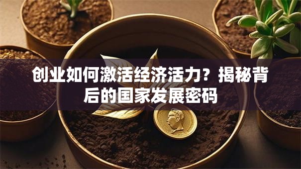 创业如何激活经济活力？揭秘背后的国家发展密码