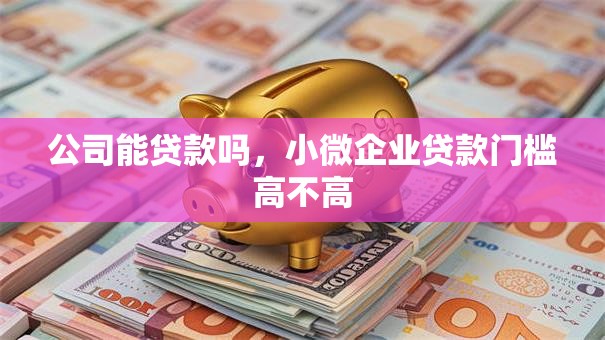 公司能贷款吗，小微企业贷款门槛高不高