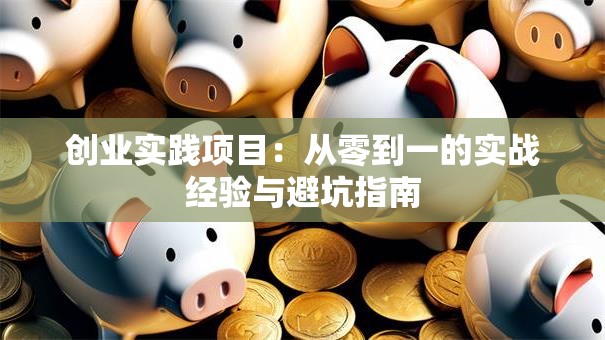 创业实践项目：从零到一的实战经验与避坑指南