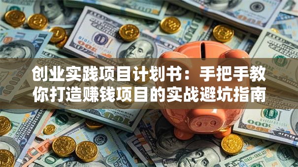创业实践项目计划书：手把手教你打造赚钱项目的实战避坑指南