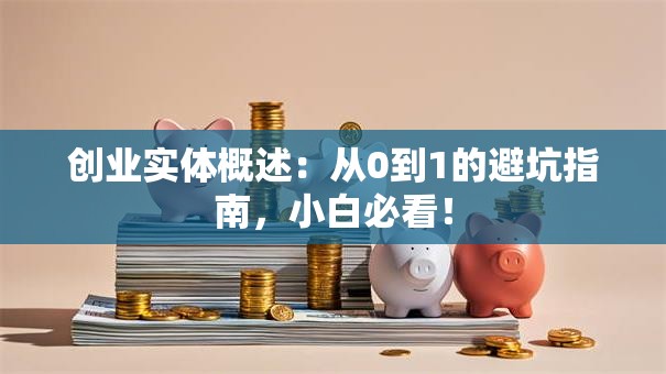 创业实体概述：从0到1的避坑指南，小白必看！