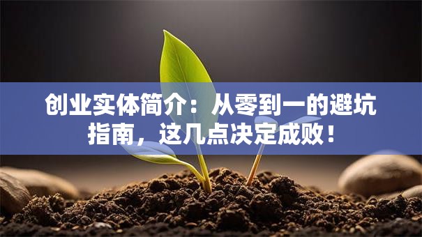 创业实体简介：从零到一的避坑指南，这几点决定成败！