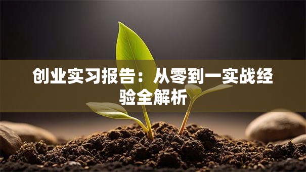 创业实习报告：从零到一实战经验全解析