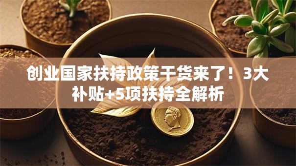 创业国家扶持政策干货来了！3大补贴+5项扶持全解析