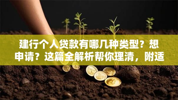 建行个人贷款有哪几种类型？想申请？这篇全解析帮你理清，附适用场景！