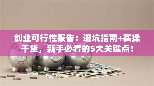 创业可行性报告：避坑指南+实操干货，新手必看的5大关键点！